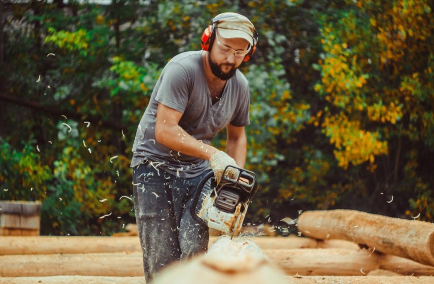 Découvrez comment la simple sciure de bois peut vous faire économiser gros !