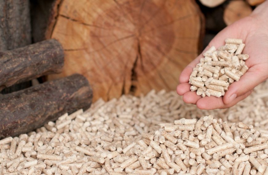 La véritable différence entre les pellets de bois dur et les pellets de bois tendre
