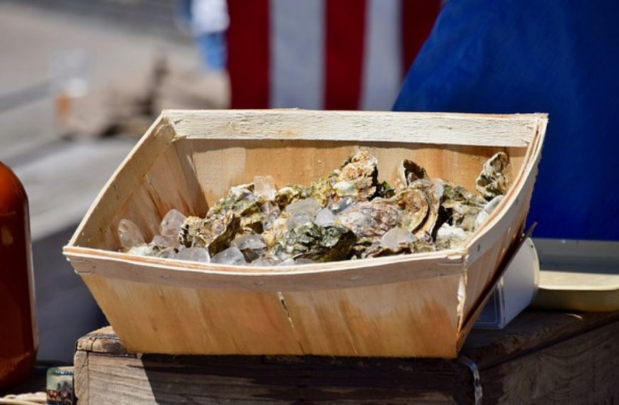 Ne jetez plus vos coquilles d’huîtres après les fêtes ! Découvrez comment les recycler et en faire un trésor insoupçonné