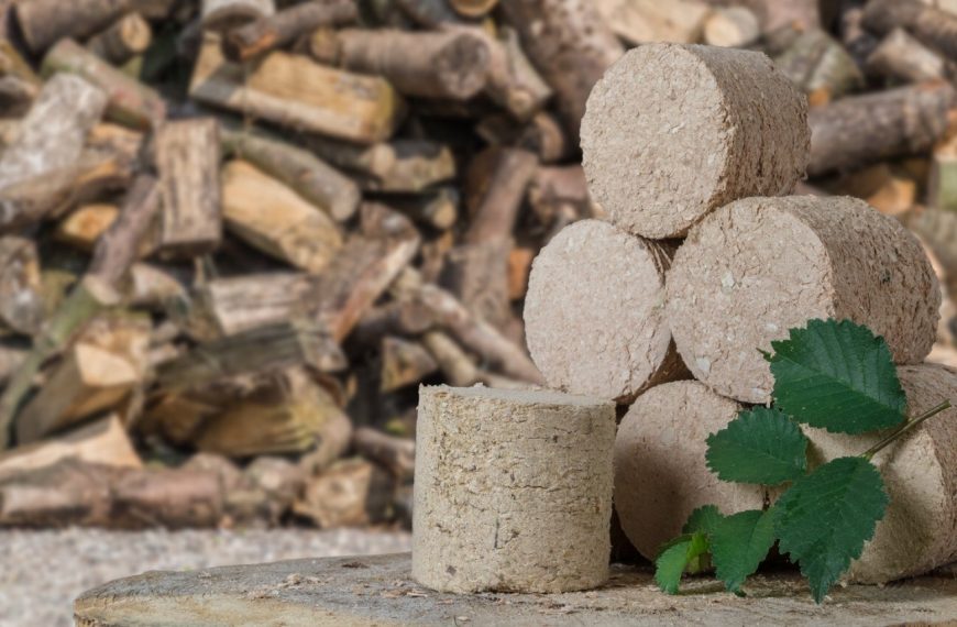 Réutiliser les cendres de granulés et de bois et économiser un maximum d’argent !