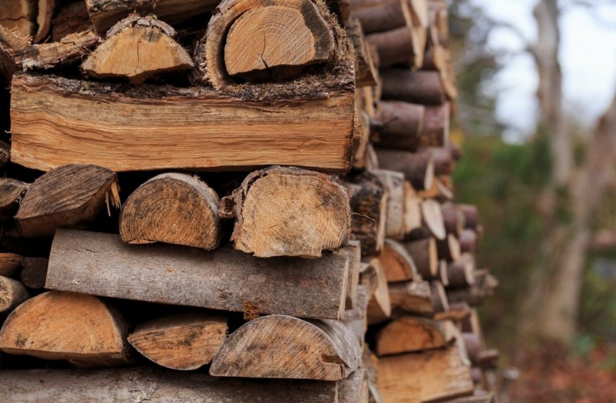Sécher votre bois de chauffage en un temps record avec le séchoir à bois révolutionnaire !