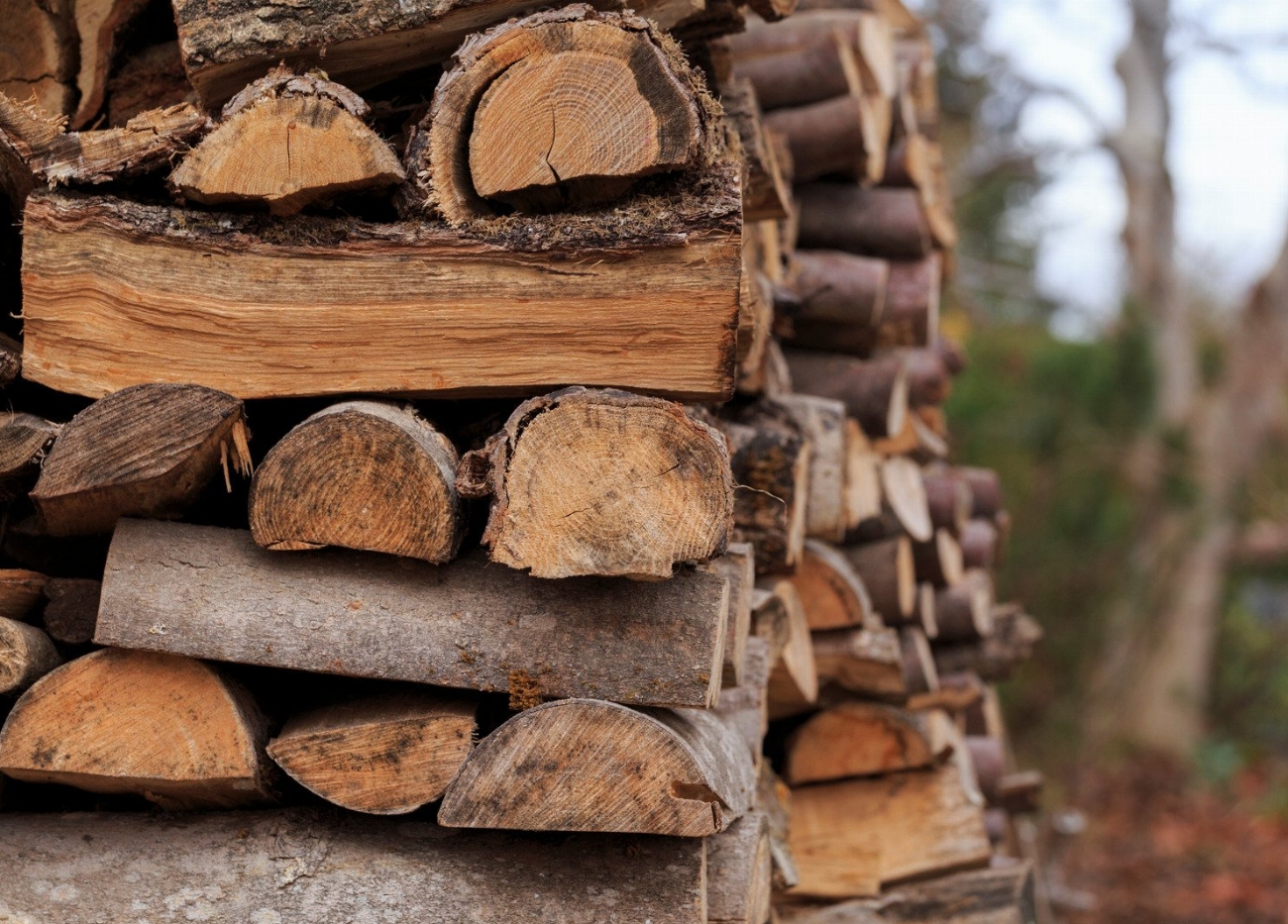 Sécher votre bois de chauffage en un temps record avec…